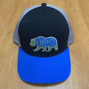 Men’s Patagonia Bear Heavan Roger That Hat